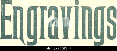 . Il giornale ferroviario di strada . --j-^UCK^^ Invia per Illuster. Calailo gue. Robinson Electric Truck ^Supply Co., Bo8ton, Mass. Raffineria spazzaneve PER FERROVIE ELETTRICHE. Spazzatrici, aratri, spazzatrici rotaie, rattan. Scrivere per informazioni e prezzi. BROOKLYN RAILWAY SUPPLY CO. STAMFORD, CONN. DI TUTTI I TIPI ATBOTTOM TARIFFE. Invia per preventivi. PUBBLICA FERROVIA DI STRADA CO., Haveiuerer Building, New Yorlc.. Foto Stock