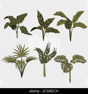 Impostazione. Foglie tropicali di palma, giungla foglie vettoriale motivo floreale sfondo.. Illustrazione Vettoriale