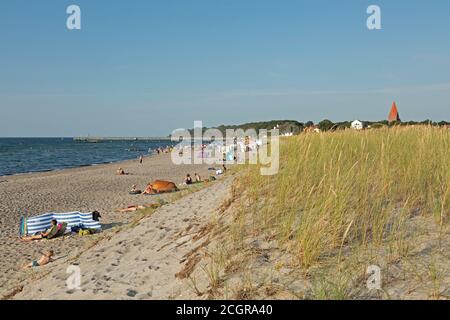 spiaggia, Rerik, Meclemburgo-Pomerania Occidentale, Germania Foto Stock