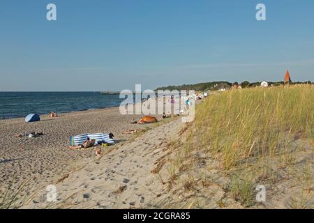 spiaggia, Rerik, Meclemburgo-Pomerania Occidentale, Germania Foto Stock