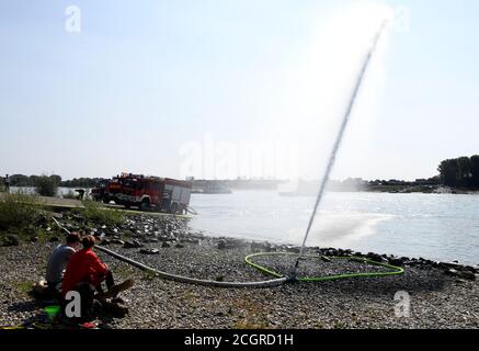 12 settembre 2020, Renania Settentrionale-Vestfalia, Hitdorf: I vigili del fuoco volontari si adopera per la manipolazione della manichetta sul traghetto Reno per preparare i giovani vigili del fuoco ad un'emergenza. Foto: Roberto Pfeil/dpa Foto Stock