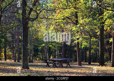Tavolo da picnic nel parco pubblico della foresta di Zvezdara a Belgrado, capitale della Serbia, con alberi autunnali Foto Stock