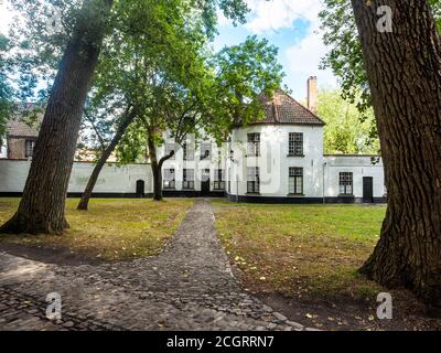 La principesca Beguinage dieci Wijngaerde (Olandese: Prinselijk Begijnhof dieci Wijngaerde) è il solo beguinage conservati nella città belga di Bruges. Non vi sono più beghine vivono lì, ma dal 1927 funziona come un convento benedettino, fondata dal canonico Hoornaert - Bruges, Belgio Foto Stock