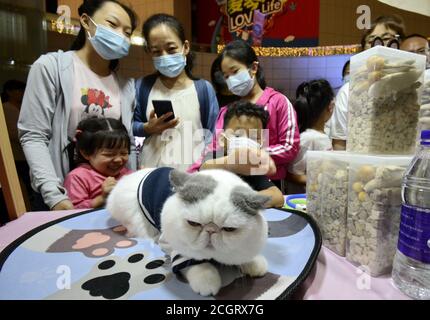 Pechino, Cina. 12 settembre 2020. La gente visita il mercato notturno in un centro commerciale nel distretto di Daxing di Pechino, capitale della Cina, 12 settembre 2020. Credit: Li Xin/Xinhua/Alamy Live News Foto Stock