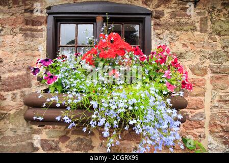 Una colorata fioriera seduta su un davanzale della finestra di a. cottage in mattoni Foto Stock