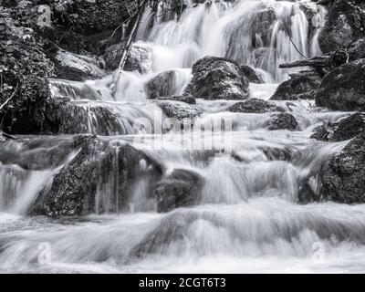 Immagine di un ruscello di montagna o di un torrente che scorre tra le rocce dei Carpazi, Romania. Sette scalette canyon in Piatra Mare (Big Rock) montagne. Foto Stock
