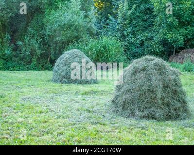 Scena rurale con haystack su un campo in Romania. Foto Stock