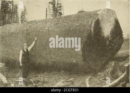 . Ingegneria ferroviaria e locomotiva : una rivista pratica di energia elettrica e materiale rotabile ferroviario. Foto Stock