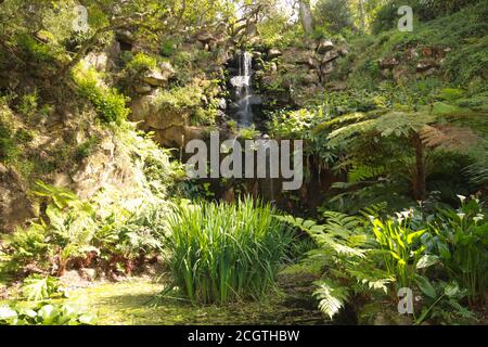 Cascata in una foresta circondata da vegetazione Foto Stock