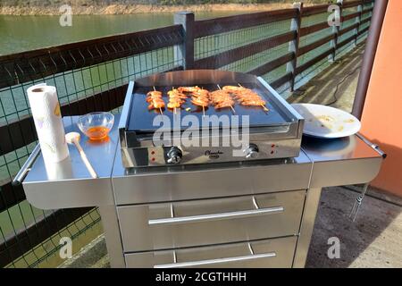 Cucina gamberi tigre sulla griglia elettrica per barbecue. Grill sulla  terrazza vista lago Foto stock - Alamy