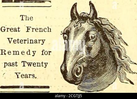 . Il giornale ferroviario di strada . rs esperienza nel busl-nf ss; può riferirsi ad alcuni degli uomini più prominenti strada del paese. Indirizzo R. P. A., careStreet Ry. Journal, 113 Liberty st., New York. IN VENDITA. Guide in acciaio, modelli T e Street; pesi; punte, piastre di pesce, bulloni, ginocchia in ferro battuto, ecc, guide a T in acciaio leggero sempre a portata di mano. Vecchie rotaie prese in commercio, o acquistataper la rigenerazione. HUMPHREYS & SAYCE No. I Broadway. New York. TT^-^-HSTTID-seconda mano un cavallo strada Carsin buone condizioni. HUMPHREYS & SAYCE, 1 Broadway, New York. IMPOETAUT COMBAULTS BALSAMO CAUSTICO. Prepar Foto Stock