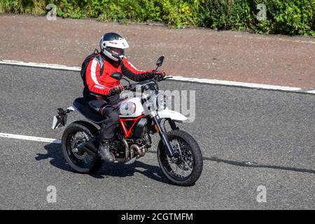 Red White Scramble Ducati Desert Sled; motociclista, due ruote di trasporto, moto, veicolo, strade, moto, motociclisti di Chorley, Regno Unito Foto Stock