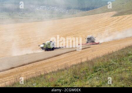 Due mietitrebbia si incontreranno, raccogliendo la stoppia sul campo di taglio contro il villaggio durante la mietitura. Foto Stock