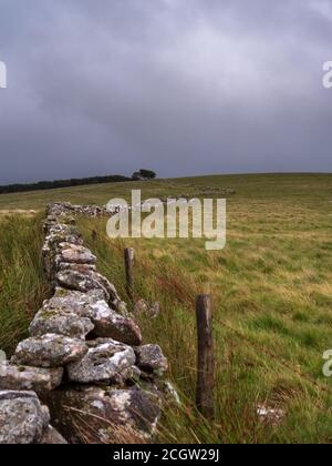 Una parete di pietra asciutta che serpente attraverso il moor verso un cielo nuvoloso e onirico Foto Stock