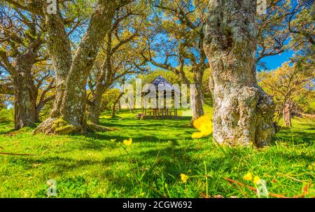 Tipico chiosco picnic in legno molto popolare tra gli abitanti di Réunion nelle alte pianure della Plaine des Cafres sulla strada del vulcano Foto Stock