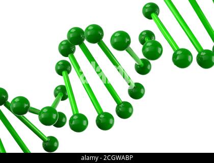 Molecola di DNA - 3D Foto Stock