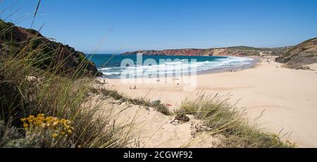 Panorama con fiori gialli, dune, onde e oceano, fuoco selettivo. Spiaggia di Amado, Algarve, Portogallo. Foto Stock