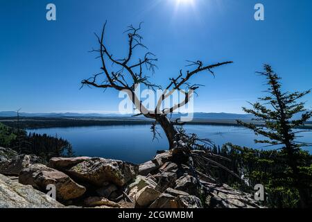 Inspiration Point, Jenny Lake, Teton National Park Foto Stock