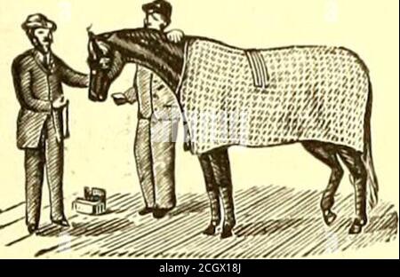 . Il giornale ferroviario di strada . Il composto lubrificante in mulino ad acqua per alcune settimane passato, e finora, lo considera superiore a qualsiasi intessuto lubrificante mai usato, in particolare su cuscinetti o perni che sono costantemente riscaldati dal vapore che li attraversa, come gli essiccatori a cilindro eCaldaie rotanti, ecc. Nessun gocciolamento come da oli. Yery rispettosamente, S. Pettebone, Tesoriere. PRODOTTO DALLA SOCIETÀ DI LUBRIFICAZIONE LEIR 196 e 198 Chicago Street, Buffalo, N. Y gennaio 1887. THE STREET RAILWAY JOURNAL. 169 NEFTELFCOOTHOUT INGEGNERI & CONTRACTORS, W. CONWAY, STEAM & STREET RAILWAY CONTRACTOR, 41 LIBER Foto Stock