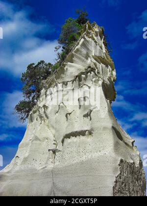 Cove della cattedrale, Penisola di Coromandel, Isola del nord, Nuova Zelanda Foto Stock