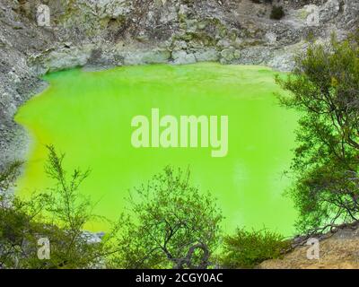 Bagni del Diavolo - il lago verde sulfureo nella zona geotermica di Wai-o-Tapu - Rotorua, Isola del Nord, Nuova Zelanda Foto Stock