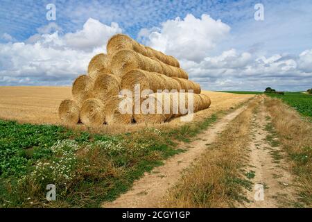 Seraucourt-le-Grand Francia - 26 luglio 2020 - balle di fieno vicino Seraucourt le Grand Foto Stock