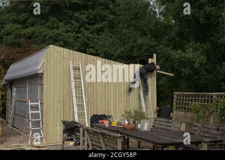Costruttori che rivestimenti l'esterno di un giardino Shed con tunnel e Groove Tanalised Redwood Shipap in Rural Devon, Inghilterra, Regno Unito Foto Stock