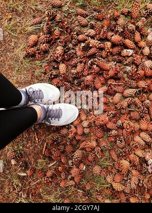 sfondo sfocato per lo sfondo, piedi in sneakers coni di pino, tappeto di coni nella foresta, foresta d'autunno. pinecones piedi sport Foto Stock