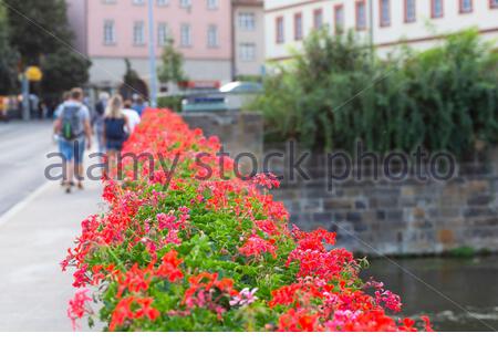 Bellissimi fiori appesi su un ponte a Bamberga, in Germania Foto Stock
