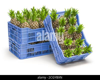 Pinapples in cassa di plastica blu isolato su fondo bianco. illustrazione 3d Foto Stock