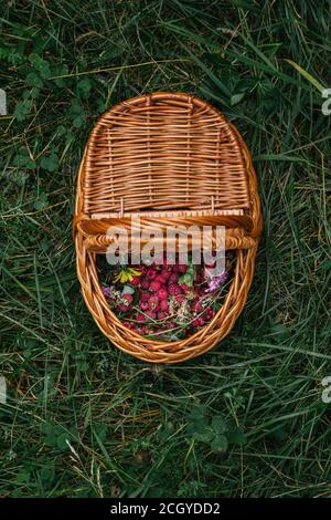 Stock foto di lamponi freschi selvatici in un cestino con fiori e foglie Foto Stock