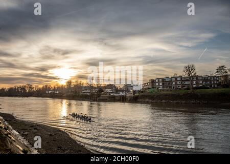 Vogatori sul Tamigi a Kew, West London Foto Stock