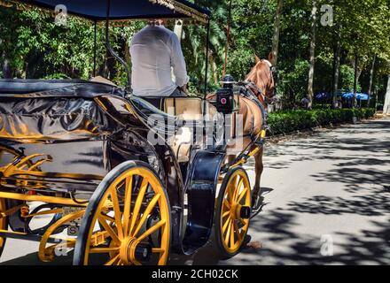 Carrozza a cavallo vuota nel Parco Maria Luisa. Crisi del Covid-19. Nessun turismo. Foto Stock