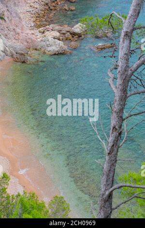 La bellissima spiaggia di Cala Futadera è una delle poche spiagge naturali incontaminate della Costa Brava, Catalogna, Spagna. Foto Stock