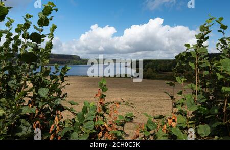 Vista del lago di Saint-Agnan situato nella zona protetta del Parc naturel régional du Morvan, dipartimento della Nièvre, FRANCIA. Foto Stock