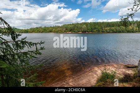 Vista del lago di Saint-Agnan situato nella zona protetta del Parc naturel régional du Morvan, dipartimento della Nièvre, FRANCIA. Foto Stock