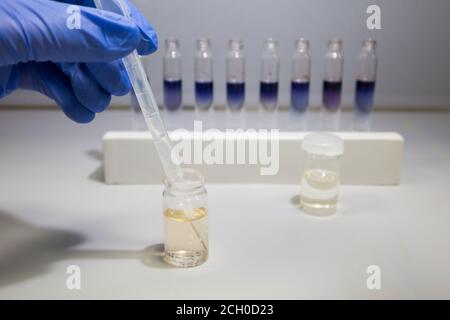Test dell'olio di cannabis in laboratorio. Scienziato con una mano guanto che analizza una fiala di olio CBD Foto Stock