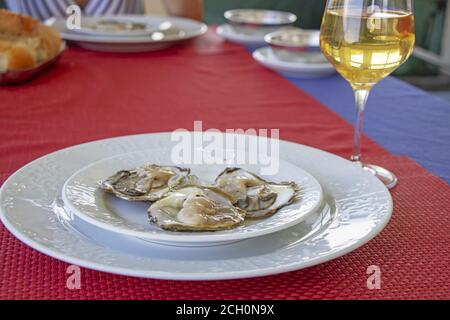 Ostriche in ghiaccio su un piatto bianco e un bicchiere di vino bianco Foto Stock