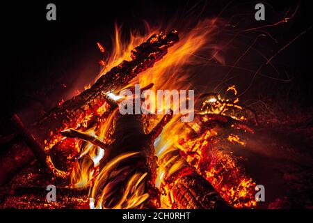 falò di notte nella foresta, scintille da un fuoco Foto Stock