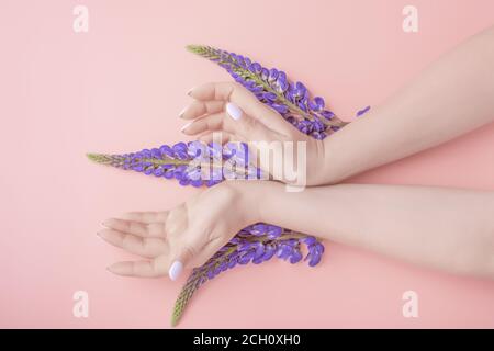 belle mani di donna ben curate in una posa elegante. concetto di cura di bellezza Foto Stock