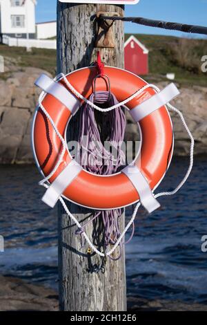 Conservatore di vita rosso e bianco appeso su palo di legno Foto Stock