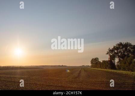 campo agricolo, a destra un alto sedile al sole del mattino, all'aperto Foto Stock