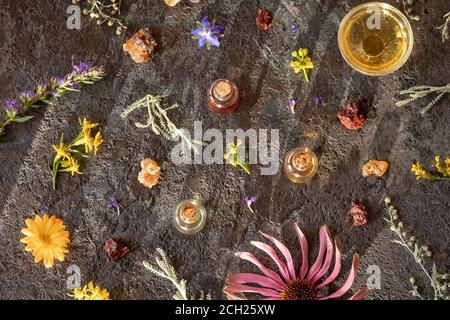 Selezione di oli essenziali con incenso, sangre de drago, wormwood, echinacea e altre erbe, vista dall'alto Foto Stock