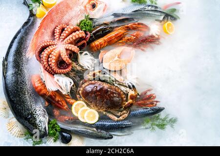 Vista dall'alto di una varietà di pesce fresco di lusso, aragosta salmone sgombro gamberi polpo di gamberi muschio rosso capesante e granchio di pietra, sul ghiaccio backgrou Foto Stock