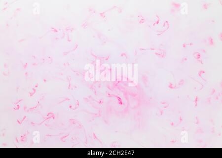 Texture artistica fluida. Sfondo bianco rosa da liquido. Fotografia di macchie colorate sul liquido. Modello astratto per la progettazione Foto Stock