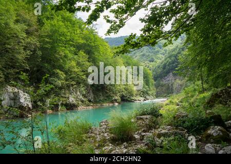 Montagna fiume Tara, Montenegro, paesaggio naturale Foto Stock