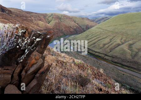 John Day River scorre attraverso i canyon del deserto centrale dell'Oregon, Oregon, USA Foto Stock