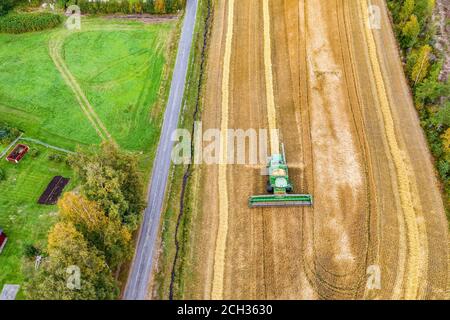 Colpo di drone aereo della mietitrebbiatrice, raccogliendo in un campo di grano piccolo, in campagna, in Svezia. Campo di grano è tra scandinavo v Foto Stock