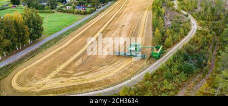 Immagine panoramica del drone aereo della mietitrebbiatrice in azione sul lato campo di grano piccolo, scarico della granella. Campagna, Svezia. Il campo di grano si trova tra SCA Foto Stock