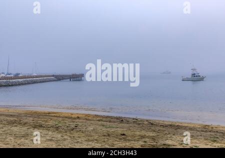 Vista di una spiaggia di sabbia dell'Oceano Pacifico e di un molo di pesca nella Baia di Pillar Point Half Moon vicino a San Francisco in una giornata di nebbia, con barche sullo sfondo Foto Stock